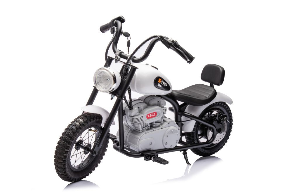 Battery-powered Motor A9902 36V White - attēls 8
