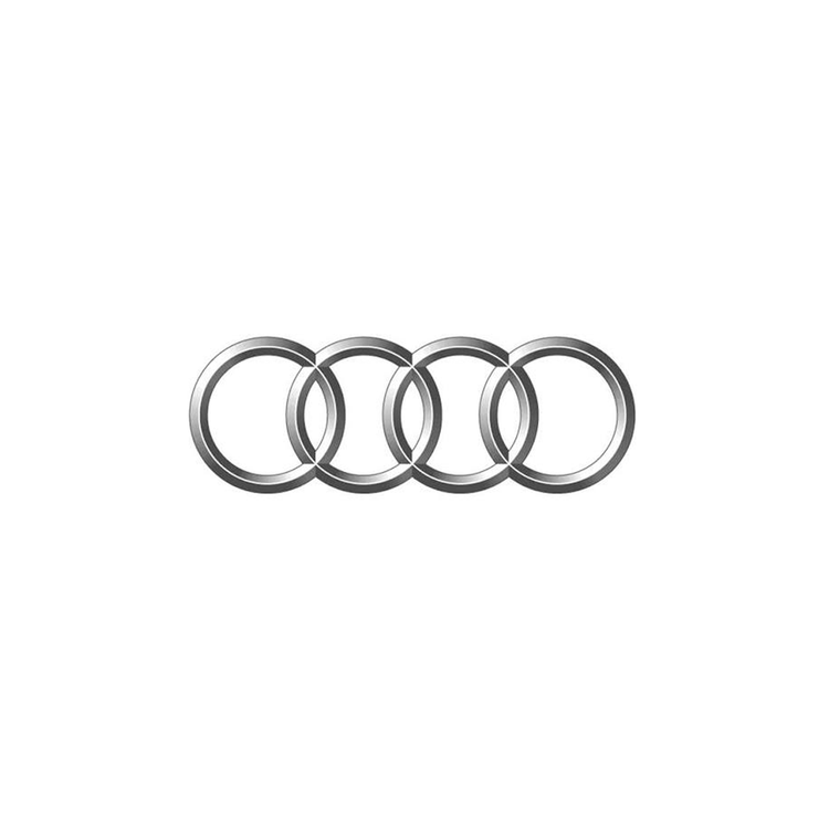 Audi Kids Electric Cars