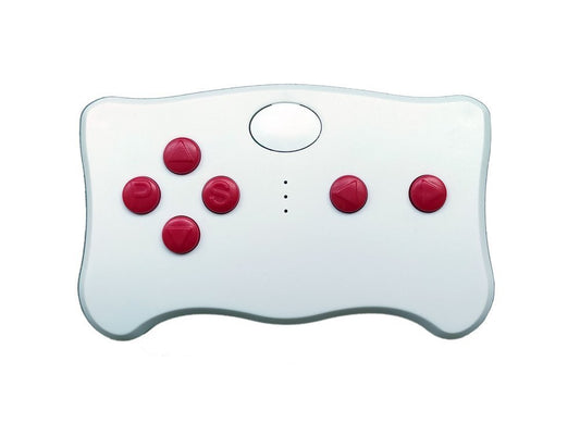 Remote Control TX10 2.4G with Module FC - attēls 1