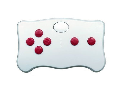 Remote Control TX10 2.4G with Module FC - pilt 7